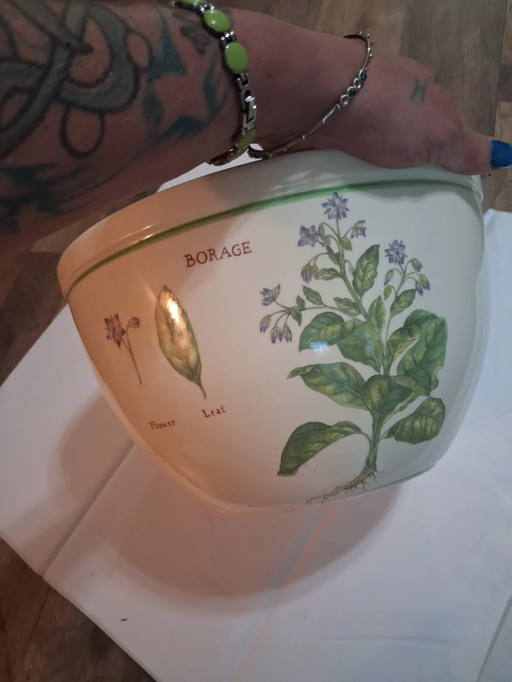 Williams-Sonoma Culinary Herbs Mixing Bowl - Borage